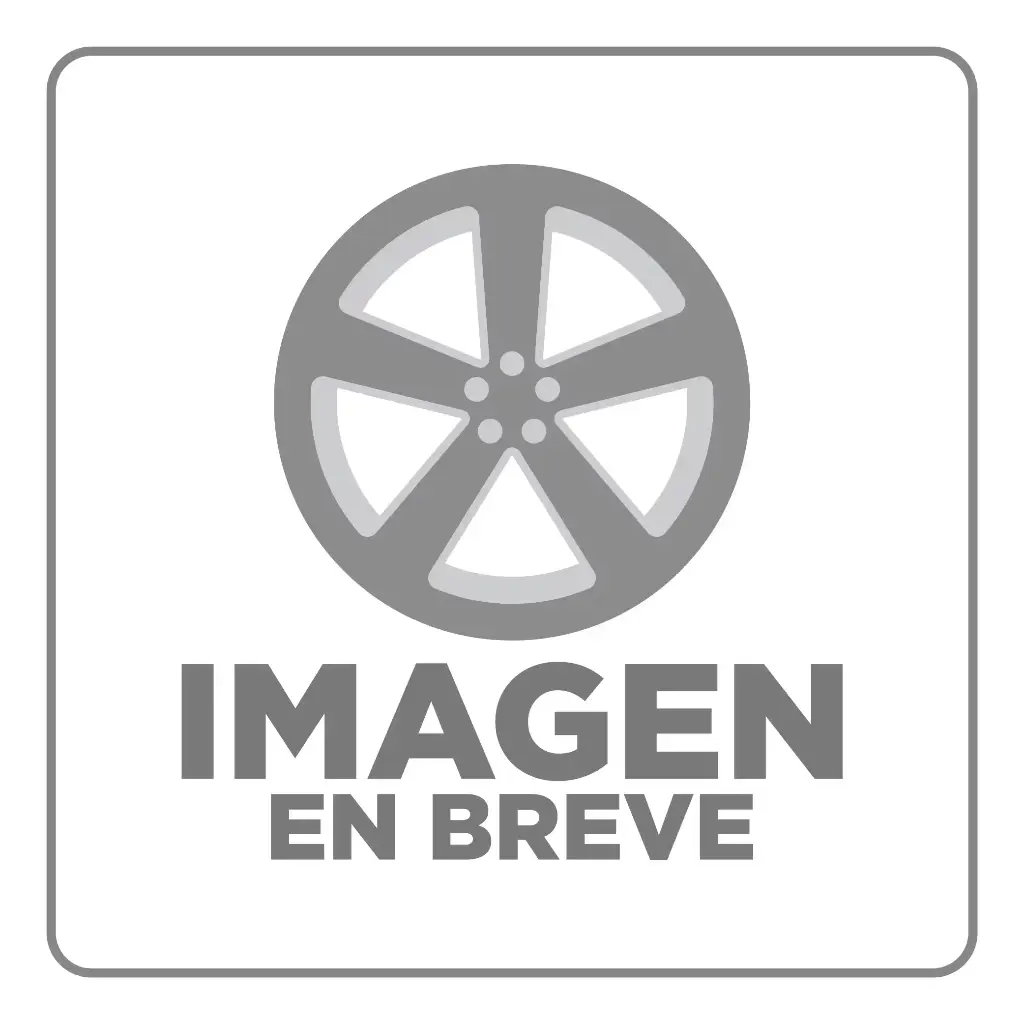 RIN 14X7 4-100/114.3 R1 SPORT HX8012D SILVER MACHINE FACE ET10 CB73.1